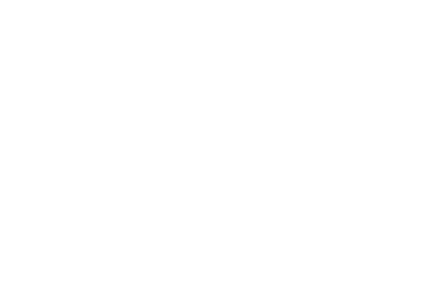 SALESCREATIVE Vertical White Logo